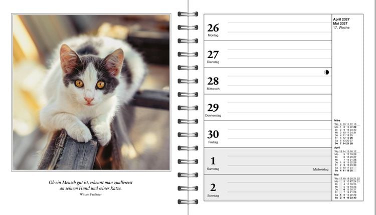Produktbild: Diary Schmusekatzen 2027
