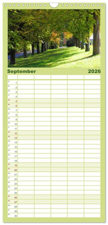 Produktbild: Familienplaner 2026 - Wald und Baum 2026 mit 5 Spalten (Wandkalender, 21 x 45 cm) CALVENDO