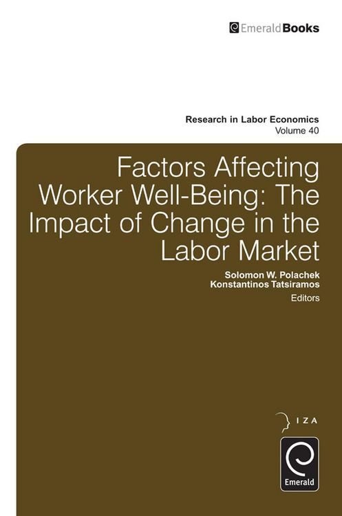 Produktbild: Factors Affecting Worker Well-Being