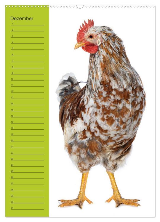 Produktbild: Kunterbunte H&uuml;hner Truppe (hochwertiger Premium Wandkalender 2026 DIN A2 hoch), Kunstdruck in Hochglanz