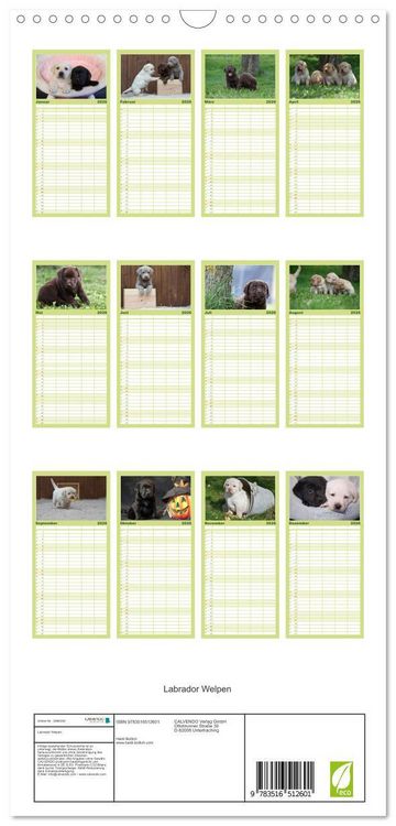 Produktbild: Familienplaner 2026 - Labrador Welpen mit 5 Spalten (Wandkalender, 21 x 45 cm) CALVENDO