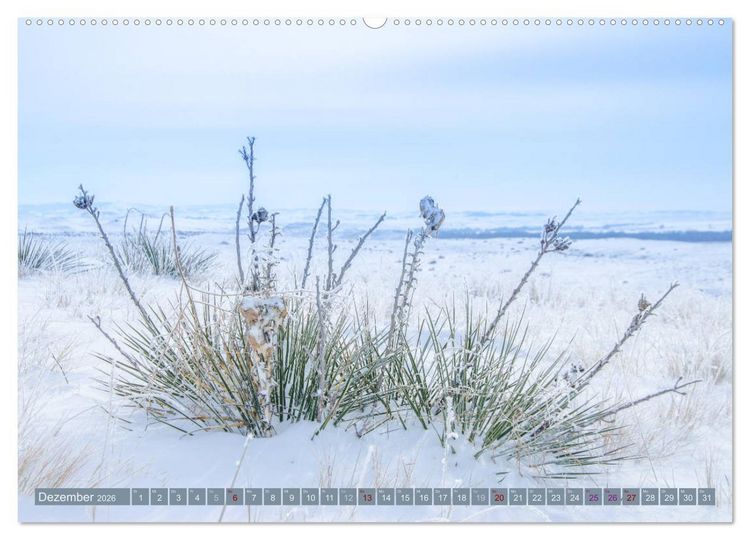 Produktbild: Wildwuchs 2026 (hochwertiger Premium Wandkalender 2026 DIN A2 quer), Kunstdruck in Hochglanz