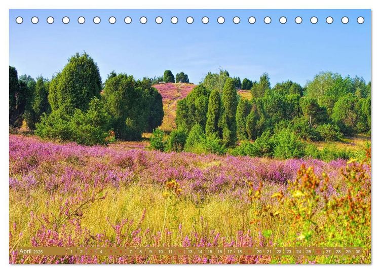 Produktbild: L&uuml;neburger Heide - Wanderung rund um Wilsede und Totengrund (Tischkalender 2026 DIN A5 quer), CALVENDO Monatskalender