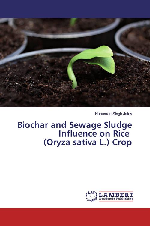 Produktbild: Biochar and Sewage Sludge Influence on Rice (Oryza sativa L.) Crop