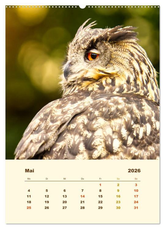 Produktbild: Uhu, die Faszination bernsteinfarbener Augen (Wandkalender 2026 DIN A2 hoch), CALVENDO Monatskalender
