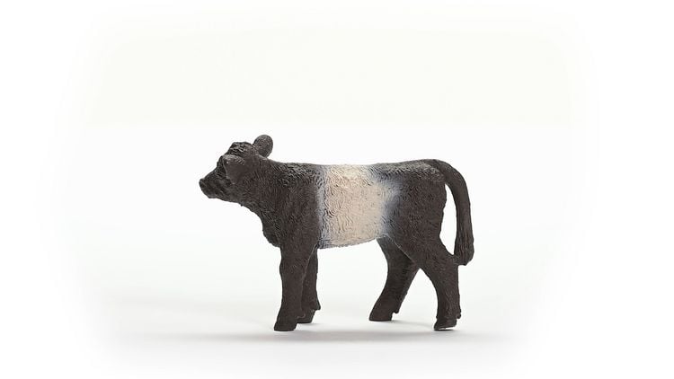 Produktbild: schleich&reg; 13969 Galloway Kalb