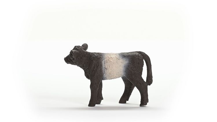 Produktbild: schleich&reg; Farm World Galloway Kalb 5,7cm