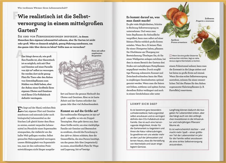 Produktbild: Wie verdienen W&uuml;rmer ihren Lebensunterhalt?