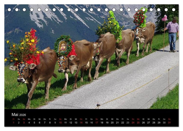 Produktbild: Almabtrieb in Tirol (Tischkalender 2026 DIN A5 quer), CALVENDO Monatskalender
