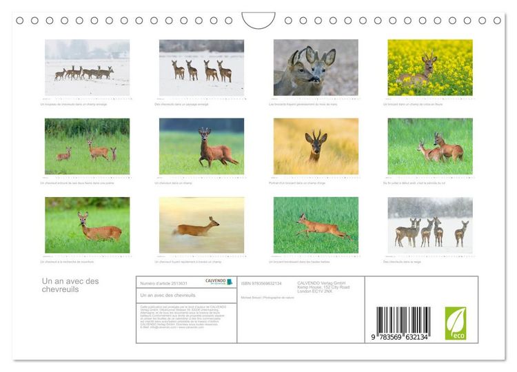 Produktbild: Un an avec des chevreuils (Calendrier mural 2027 DIN A4 vertical), CALVENDO calendrier mensuel