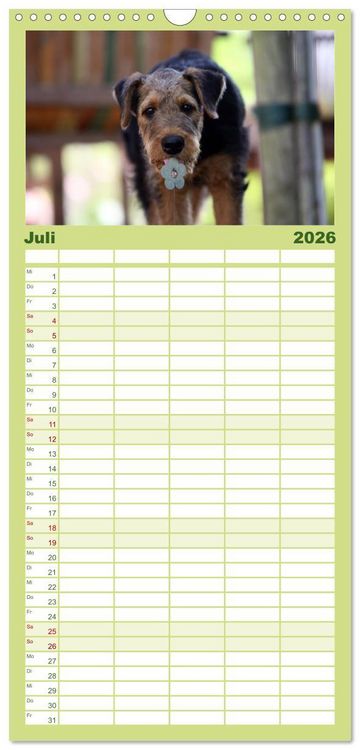 Produktbild: Familienplaner 2026 - Der Hundewelpen-Geburtstagskalender mit 5 Spalten (Wandkalender, 21 x 45 cm) CALVENDO