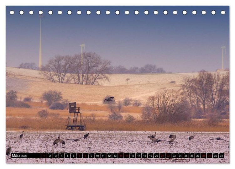 Produktbild: Oderlandschaft (Tischkalender 2026 DIN A5 quer), CALVENDO Monatskalender