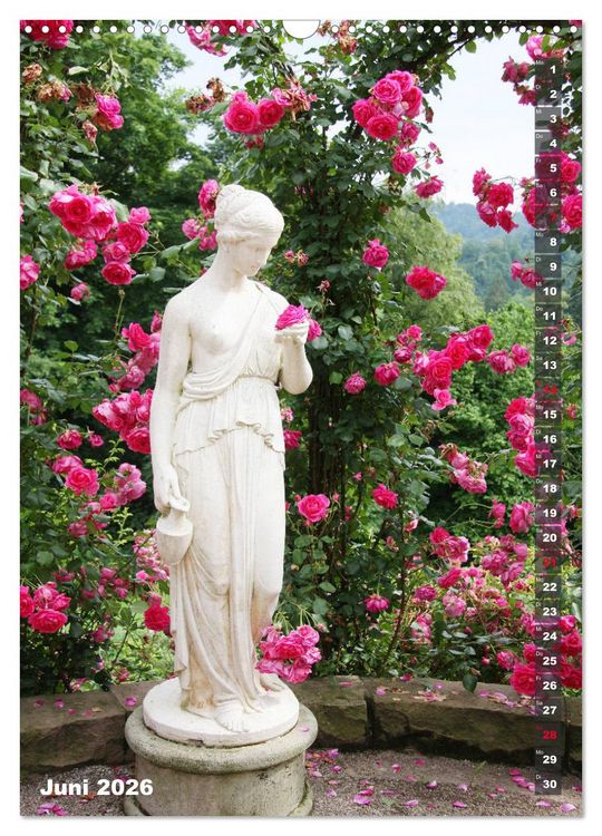 Produktbild: Sch&ouml;nste Rosen (Wandkalender 2026 DIN A3 hoch), CALVENDO Monatskalender