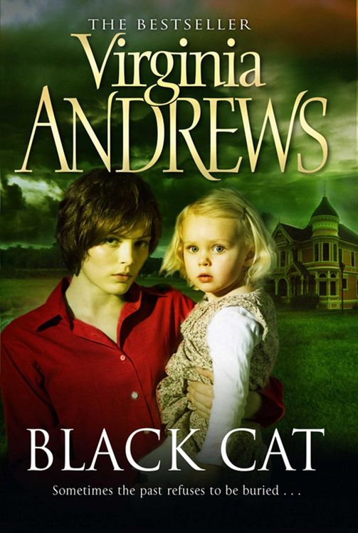 Produktbild: Black Cat
