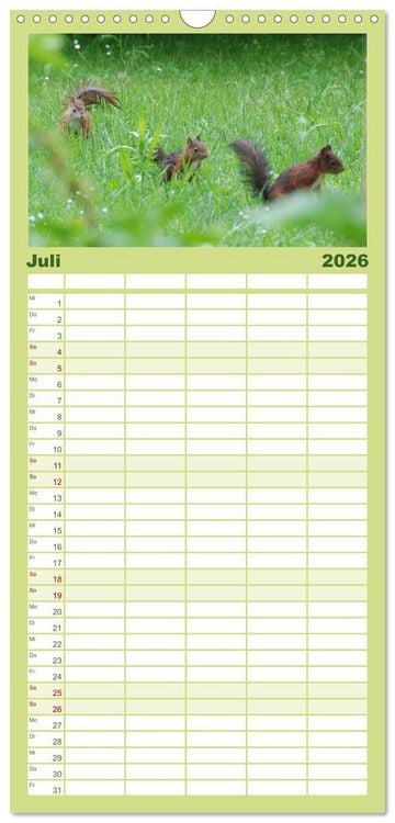 Produktbild: Familienplaner 2026 - Spa&szlig; mit Eichh&ouml;rnchen-Kindern mit 5 Spalten (Wandkalender, 21 x 45 cm) CALVENDO