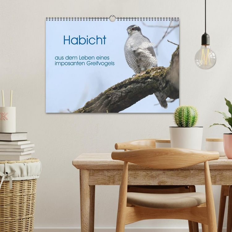 Produktbild: Habicht - aus dem Leben eines imposanten Greifvogels (Wandkalender 2026 DIN A3 quer), CALVENDO Monatskalender