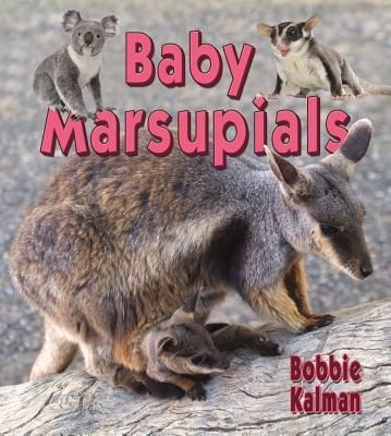 Produktbild: Baby Marsupials