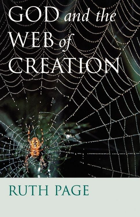 Produktbild: God and the Web of Creation