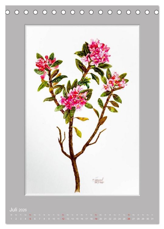 Produktbild: Alpenblumen Aquarelle aus Tirol (Tischkalender 2026 DIN A5 hoch), CALVENDO Monatskalender