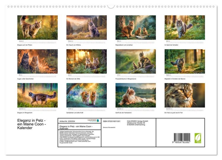 Produktbild: Eleganz in Pelz - ein Maine Coon - Kalender (hochwertiger Premium Wandkalender 2027 DIN A2 quer), Kunstdruck in Hochglanz
