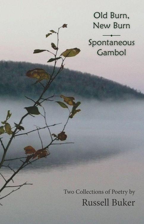 Produktbild: Old Burn, New Burn and Spontaneous Gambol