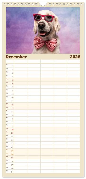Produktbild: Familienplaner 2026 - Cool Dogs - Hunde-Spa&szlig; im Studio mit 5 Spalten (Wandkalender, 21 x 45 cm) CALVENDO