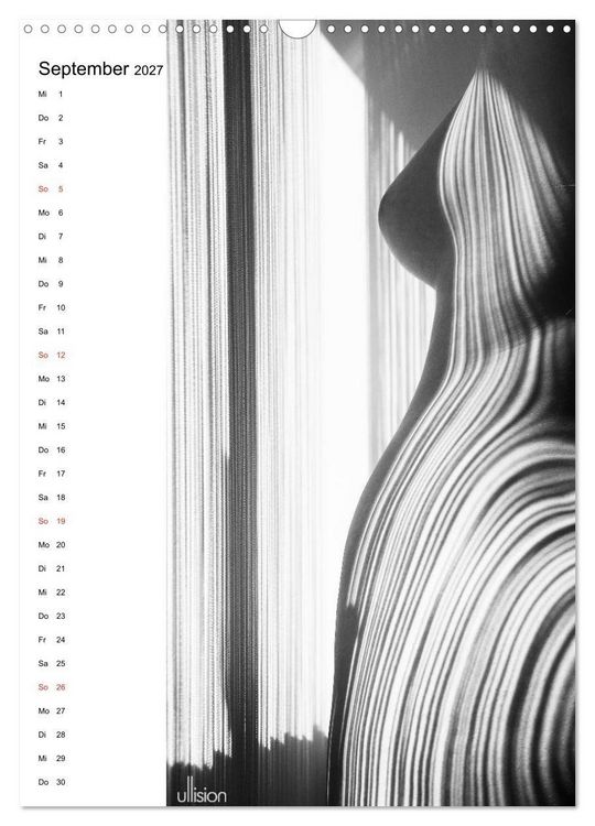 Produktbild: Akt abstrakt (Wandkalender 2027 DIN A3 hoch), CALVENDO Monatskalender