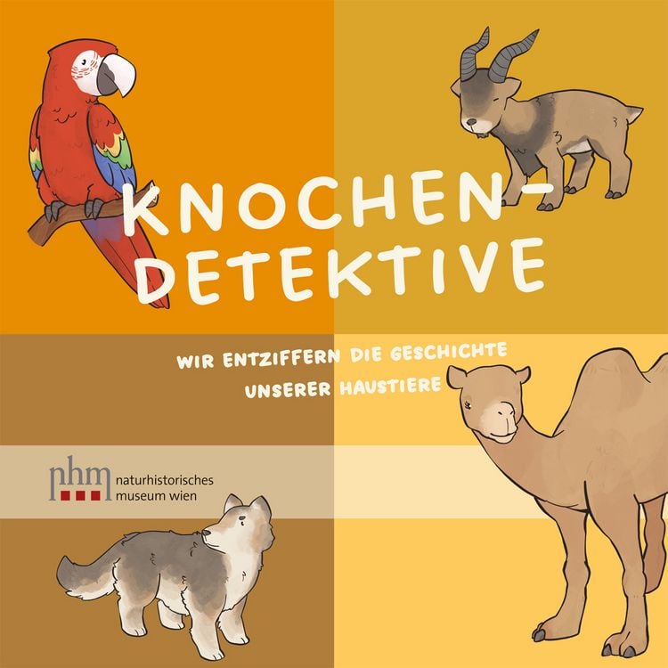 Produktbild: Knochendetektive