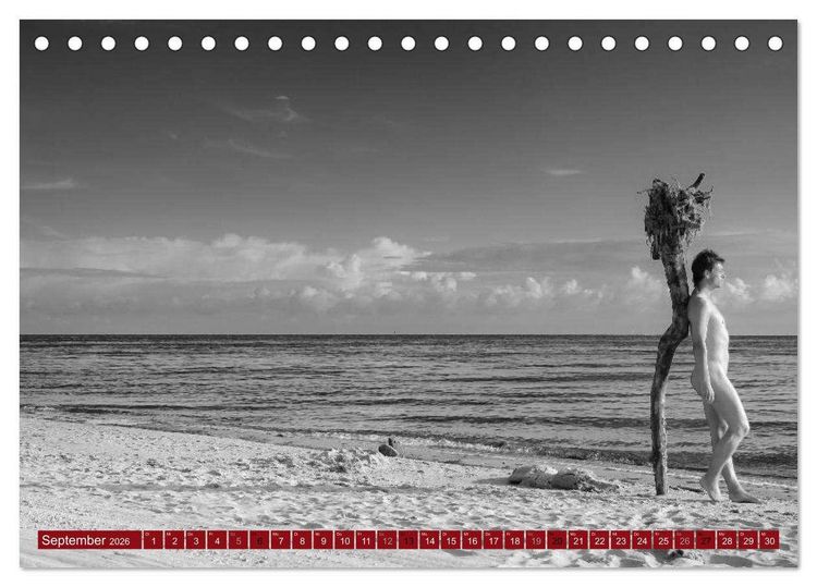 Produktbild: Haut(e) Couture (Tischkalender 2026 DIN A5 quer), CALVENDO Monatskalender