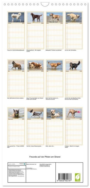 Produktbild: Familienplaner 2026 - Freunde auf vier Pfoten am Strand mit 5 Spalten (Wandkalender, 21 x 45 cm) CALVENDO