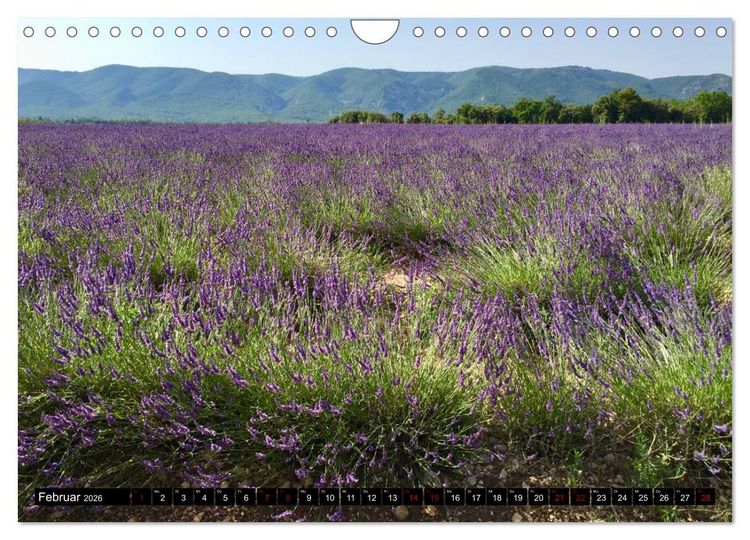 Produktbild: Luberon. Im Herzen der Provence (Wandkalender 2026 DIN A4 quer), CALVENDO Monatskalender