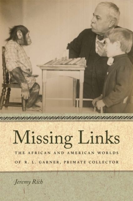 Produktbild: Missing Links