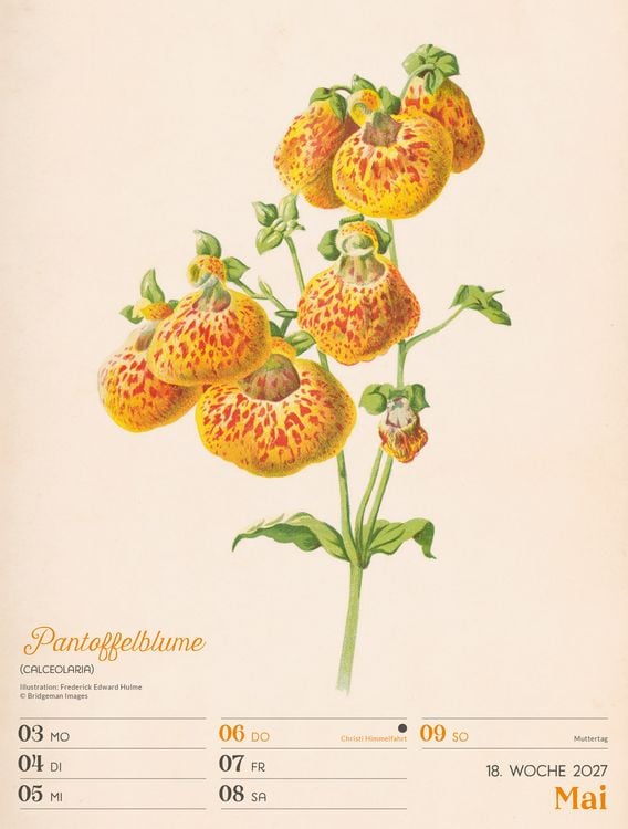 Produktbild: Ars Floralis Wochenplaner Kalender 2027