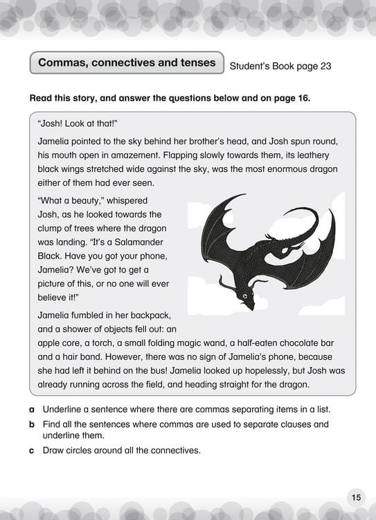 Produktbild: International Primary English Workbook: Stage 4