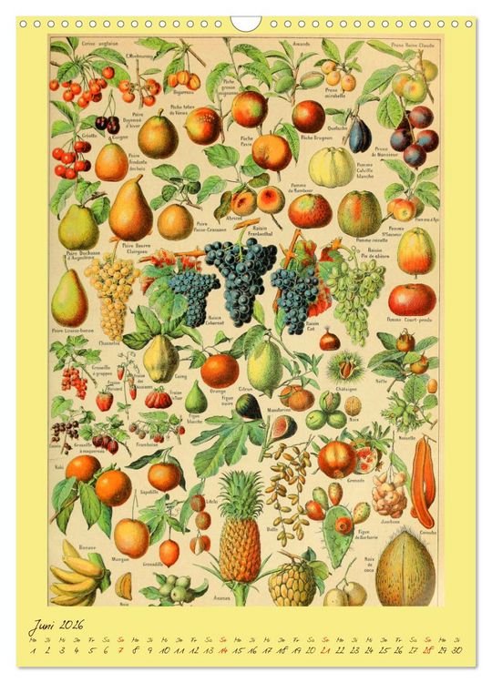 Produktbild: Pr&auml;chtige Naturtafeln (Wandkalender 2026 DIN A3 hoch), CALVENDO Monatskalender