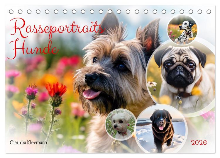 Produktbild: Rasseportraits - Hunde (Tischkalender 2026 DIN A5 quer), CALVENDO Monatskalender