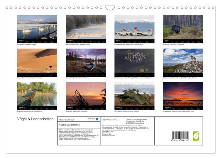 Produktbild: V&ouml;gel & Landschaften (Wandkalender 2026 DIN A3 quer), CALVENDO Monatskalender