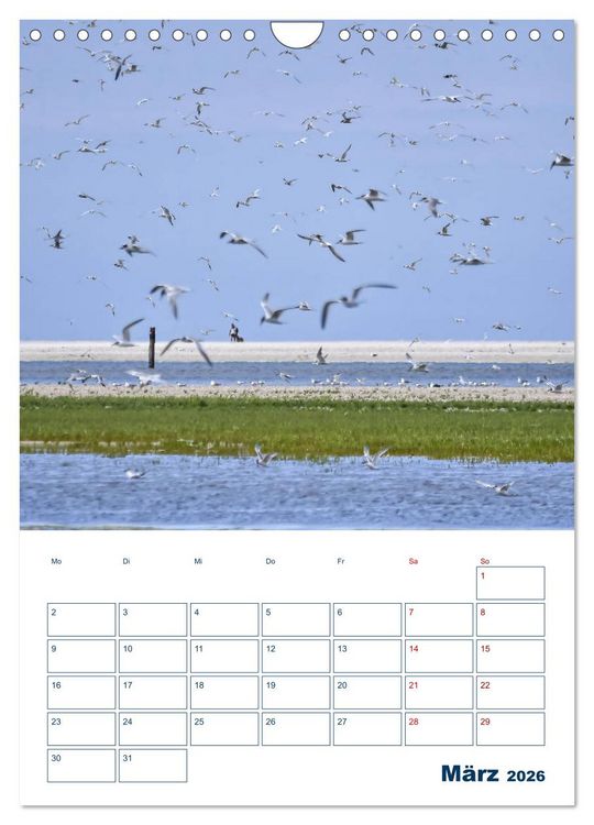 Produktbild: Texel - Momente die verzaubern (Wandkalender 2026 DIN A4 hoch), CALVENDO Monatskalender