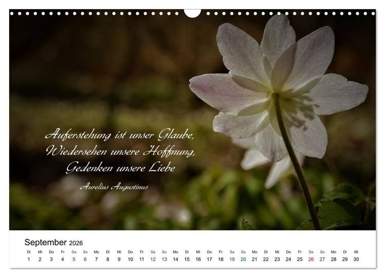 Produktbild: Zeit f&uuml;r Trauer - begleitet mit Zitaten (Wandkalender 2026 DIN A3 quer), CALVENDO Monatskalender