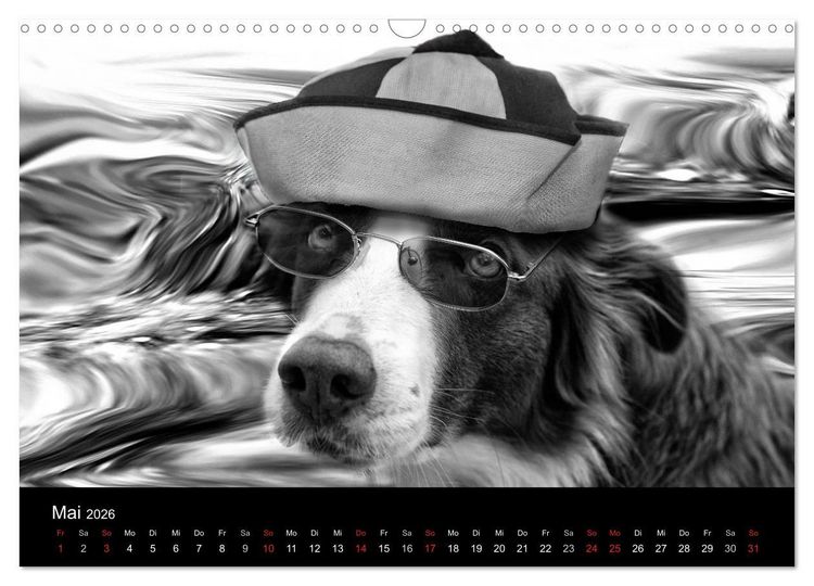 Produktbild: H&uuml;tehunde (Wandkalender 2026 DIN A3 quer), CALVENDO Monatskalender