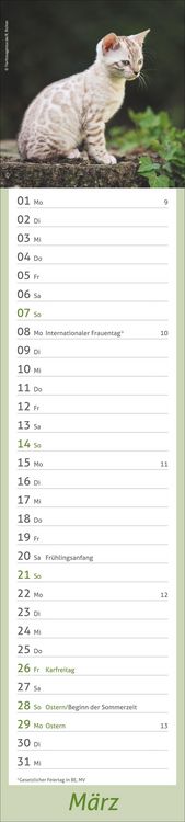 Produktbild: times&more Katzen Langplaner 2027