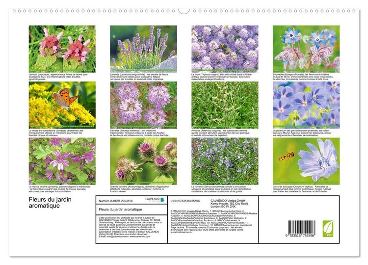 Produktbild: Fleurs du jardin aromatique (Calendrier mural haut de gamme 2027 DIN A2 vertical), CALVENDO calendrier mensuel