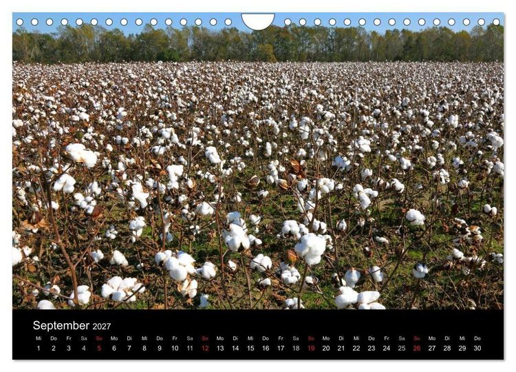 Produktbild: S&uuml;dosten der USA (Wandkalender 2027 DIN A4 quer), CALVENDO Monatskalender