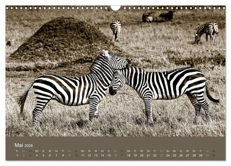 Produktbild: Wildes Afrika (Wandkalender 2026 DIN A3 quer), CALVENDO Monatskalender