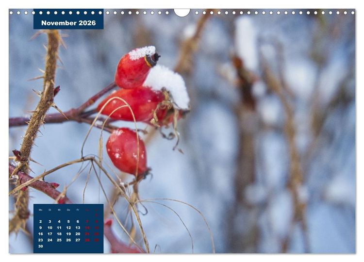 Produktbild: Winterstimmungen in Deutschland (Wandkalender 2026 DIN A3 quer), CALVENDO Monatskalender
