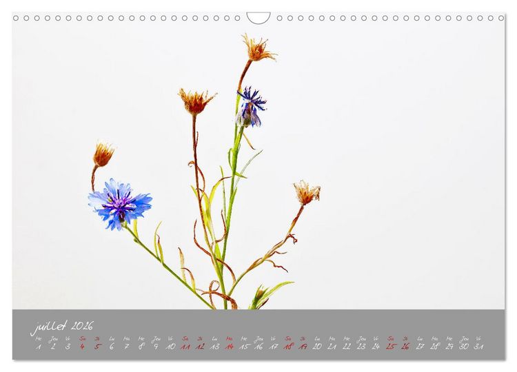 Produktbild: Des fleurs sur le chemin du matin (Calendrier mural 2026 DIN A3 vertical), CALVENDO calendrier mensuel