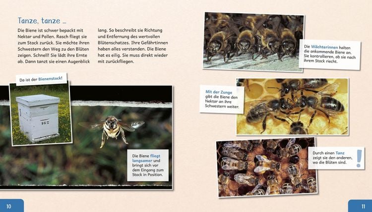 Produktbild: Meine gro&szlig;e Tierbibliothek: Die Biene