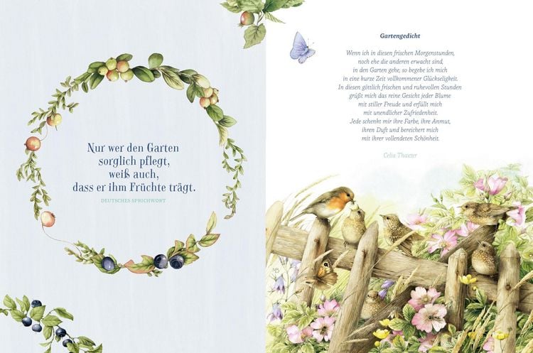 Produktbild: Rezepte aus dem Cottage Garden