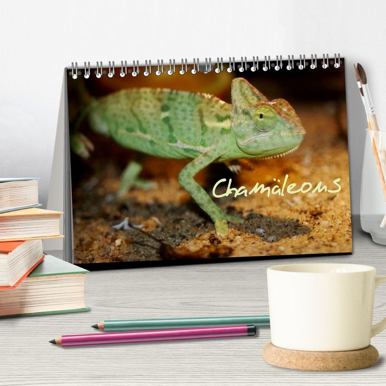Produktbild: Cham&auml;leons (Tischkalender 2026 DIN A5 quer), CALVENDO Monatskalender