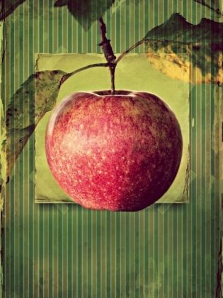 Produktbild: CALVENDO Puzzle Apfel im vintagelook | 1000 Teile Lege-Gr&ouml;&szlig;e 64x48cm Foto-Puzzle f&uuml;r gl&uuml;ckliche Stunden
